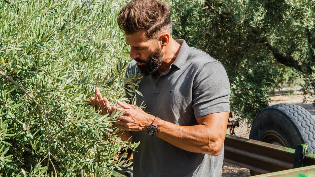 Discover Our New Harvest: Seasonal Extra Virgin Olive Oil