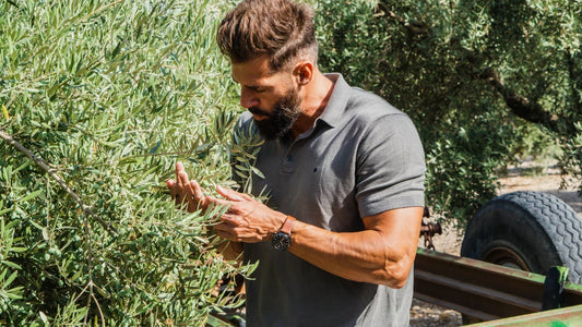 Discover Our New Harvest: Seasonal Extra Virgin Olive Oil
